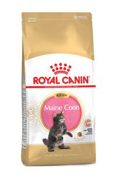 Royal Canin Breed Feline Kitten Maine Coon 400g