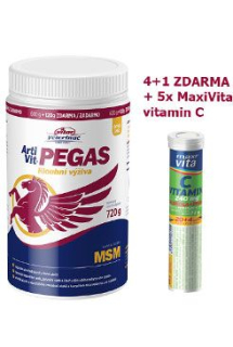 VITAR Veterinae ArtiVit Pegas MSM 720g